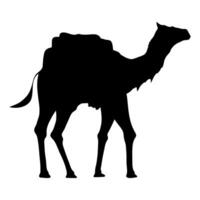 camel walking silhouette vector