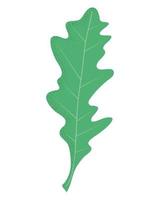 leaf plant foliage icon vector