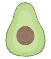 fresh avocado vegetable vector