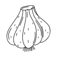 Garlic in hand drawn doodle style. Vector illustration. Farm market product. Coloring book page for kids.