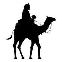 wise men balthazar in camel vector