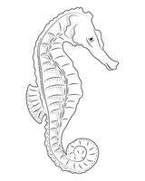 seahorse sealife sketch style vector