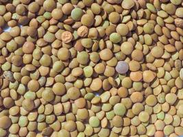 lentils pulse legumes food background photo