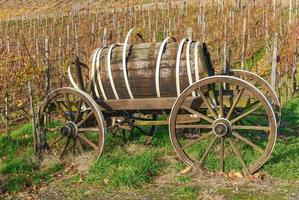 Autumn in Vineyard ,Ahrtal close to Bad Neuenahr-Ahrweiler,Germany photo