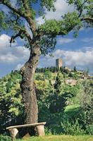 lugar idílico en montecatini val di cecina en toscana, italia foto