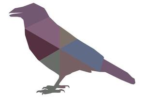 Vector raven, crow, corvus standing, coloured silhouette of a wild bird, polygonal abstraction
