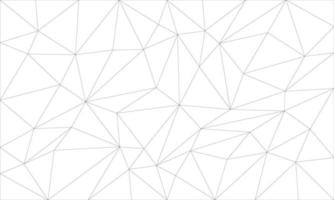 Abstract gray line triangle polygon on white background vector