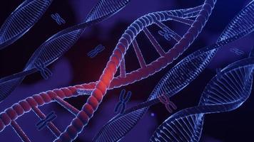 estructura espiral de adn. hélice de adn hebra complementaria de secuencias código genético o genoma. la expresion genica. base de datos de nucleótidos. el dogma central del proceso de transcripción y traducción. procesamiento 3d foto