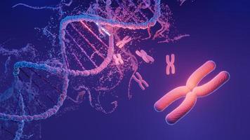 DNA spiral structure. DNA Helix complementary strand of  Sequences genetic code or genome. Gene expression. nucleotide database. The Central Dogma process of transcription and translation. 3D Render. photo