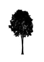 Tree silhouette for brush on white background photo