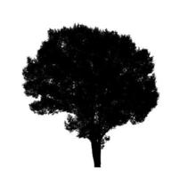 Tree silhouette for brush on white background photo