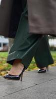 verticale video, bellissimo gambe attività commerciale donna nel tacco alto scarpe e largo i pantaloni camminare lungo vicolo su nuvoloso autunnale giorno. elegante donna d'affari a piedi nel autunno parco. avvicinamento, lento movimento. video