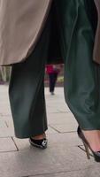 vídeo vertical, linda mulher de negócios de pernas em sapatos de salto alto e calças largas caminha ao longo do beco em um dia nublado de outono. elegante empresária andando no parque outono. close-up, câmera lenta. video