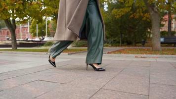 https://static.vecteezy.com/system/resources/thumbnails/016/945/474/small/unrecognizable-beautiful-legs-business-woman-in-high-heeled-shoes-and-wide-trousers-walk-along-alley-on-cloudy-autumnal-day-stylish-businesswoman-walking-in-autumn-park-close-up-slow-motion-free-video.jpg