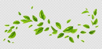 hojas verdes frescas volando en el viento vector