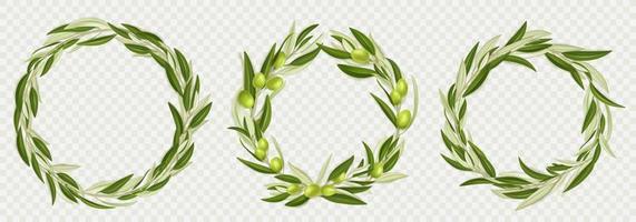 Wreaths of olive tree branches with green fruits vector