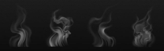 Tea smoke, coffee cup, food steam or vapor clouds vector