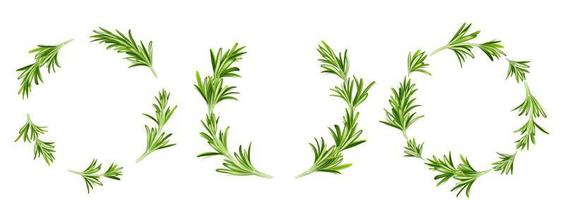 Rosemary round frames, circular border or wreath vector