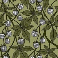 OLIVE SEAMLESS VECTOR BACKGROUND WITH WHITE BLACKBERRY FRUITS