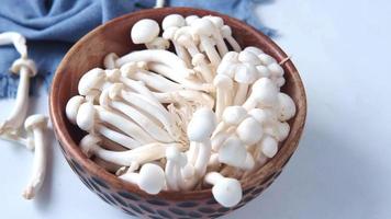 Shimeji Mushroom In Bowl On Black Background video