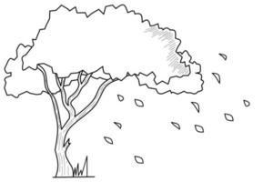 tree sketch illustration, coloring book design vector