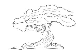 tree sketch illustration, coloring book design vector