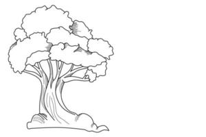 tree sketch illustration, coloring book design vector