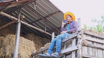 tailandese agricoltori Lavorando seduta su mucchi di fieno video