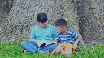 Asian girl and man sitting under a tree reading a book. video