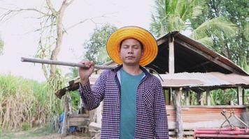 Thai farmers working sitting on haystacks video