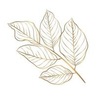 vector rayas de hojas doradas sobre fondo blanco