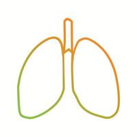 Beautiful lungs vector line icon