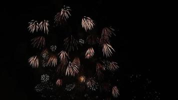 colorato vero fuochi d'artificio e fuochi d'artificio viene visualizzato celebrare nuovo anni vigilia, grande celebrazioni, feste, e eventi. video