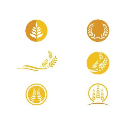 Agriculture wheat vector