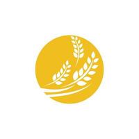 Agriculture wheat vector