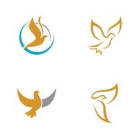 Bird wing Dove icon Template vector illustration