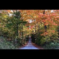 Rural Road Autumn photo