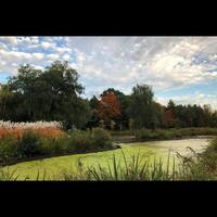 Pond in Fall photo