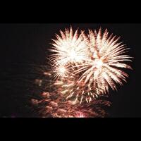 Fireworks Blasting in the Sky photo