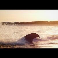 Beached Whale Iceland photo