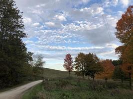 Rural Road Fall photo