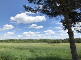 Rural Field Summer photo