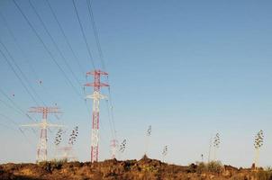 Electricity Poles View photo