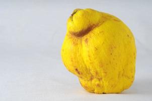 Isolated quince fruit photo