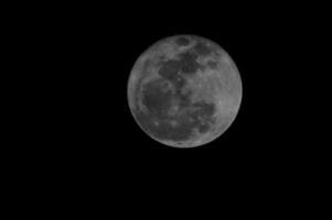 Close-up view of the moon photo