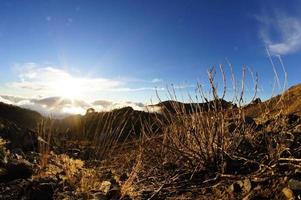 hermosa vista del desierto foto