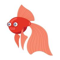 red exotic ballerina fish vector
