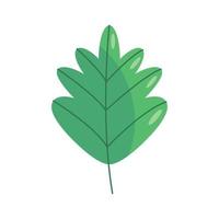green leave plant foliage vector
