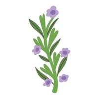 lily flowers branch icon vector