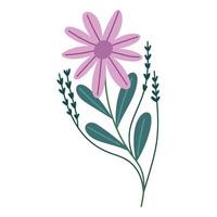 pink flowers icon vector